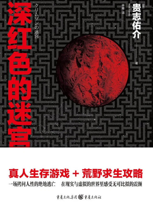 深红色的迷宫 封面