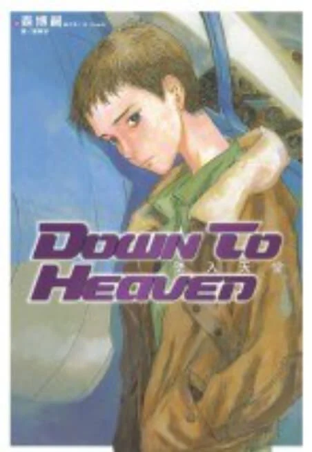 空中骑士系列 封面