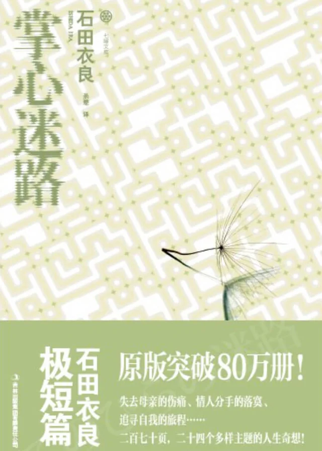 掌心迷路 封面
