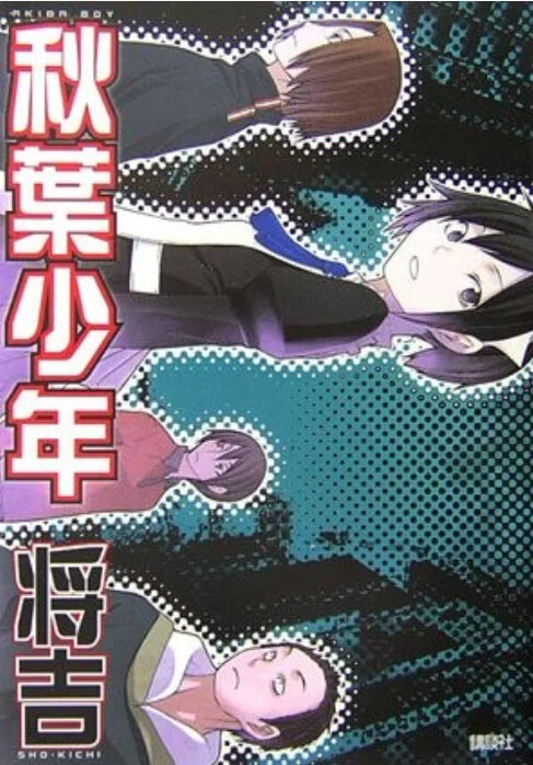 秋叶少年 封面