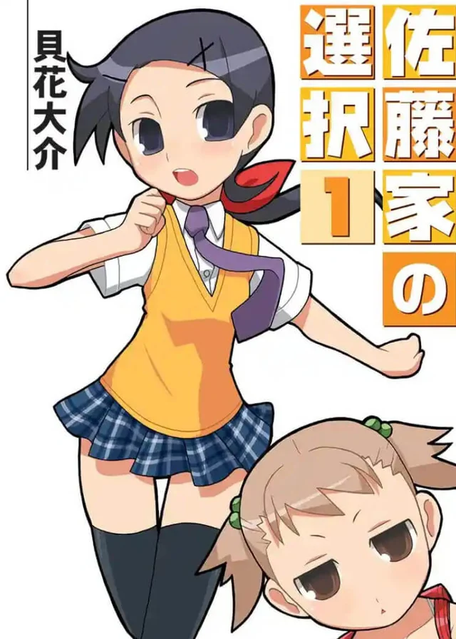 佐藤家的选择 封面